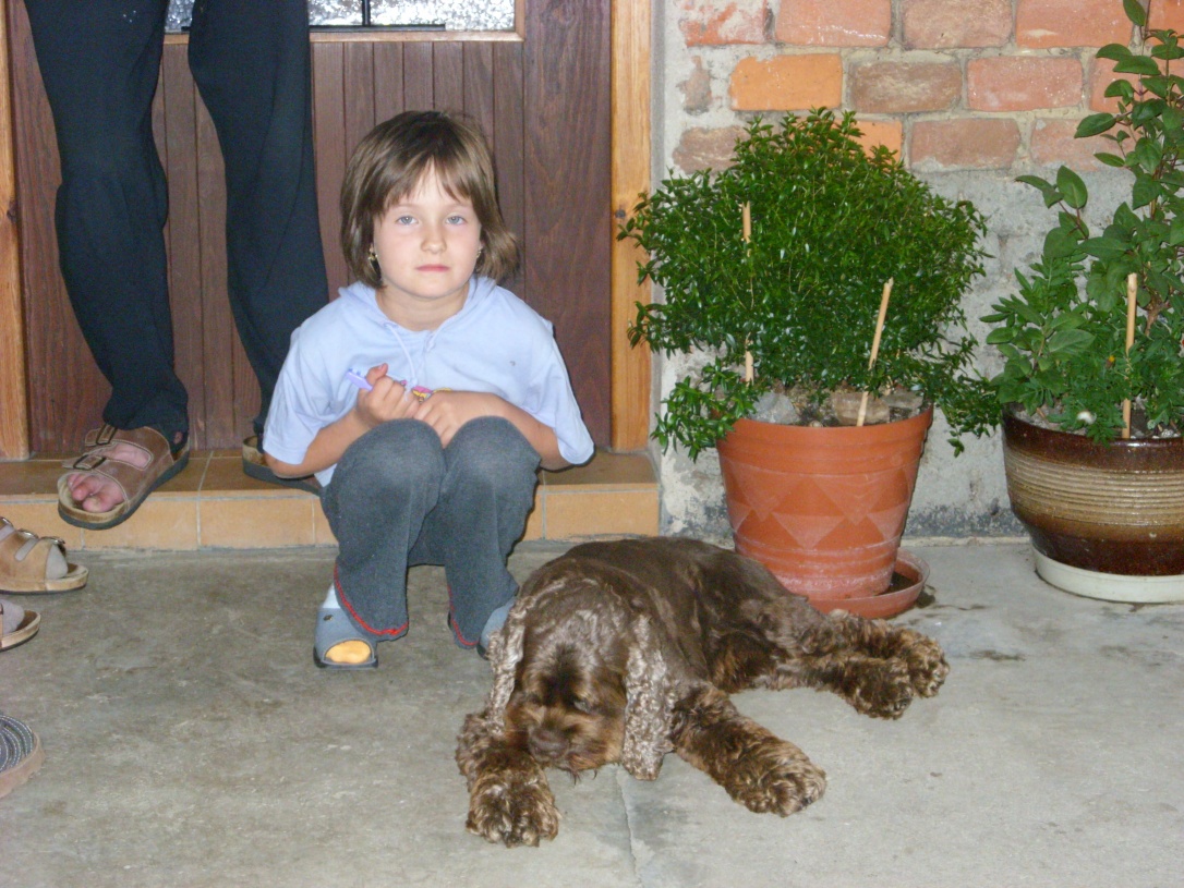 SN850731.jpg